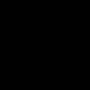 Meet your Posher, Roberto